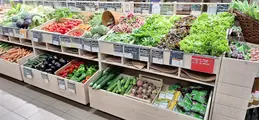 242-biocoop-valserine-bio-fruit-legume-saison-salade-local-tomate-jardin.webp